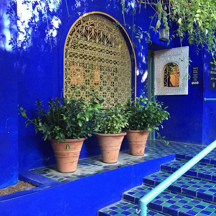 photo of Jardin Marjorelle in Marrakesh, Morocco